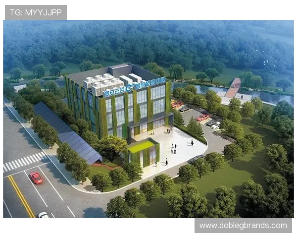 凯发K8.com集团娱乐平台用户评价与口碑分析，真实玩家体验分享与建议参考