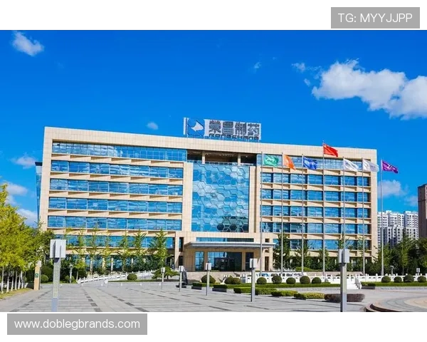 凯发中国官网登录网址官方平台推荐及常见登录问题解决方案