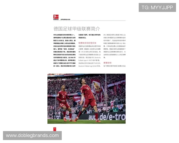 世界杯巴西海地直播入口说明详细指南助你轻松观看赛事直播